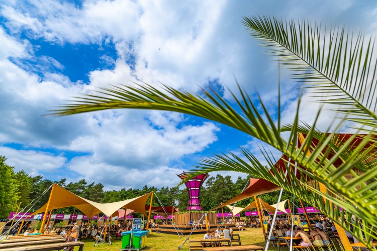 Sunrise Festival 2025 | Ready, set... GO! 🚀